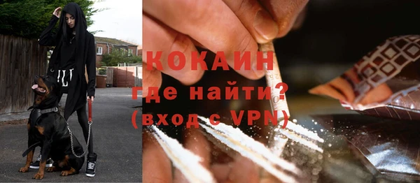 spice Алзамай