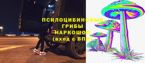 spice Алексин