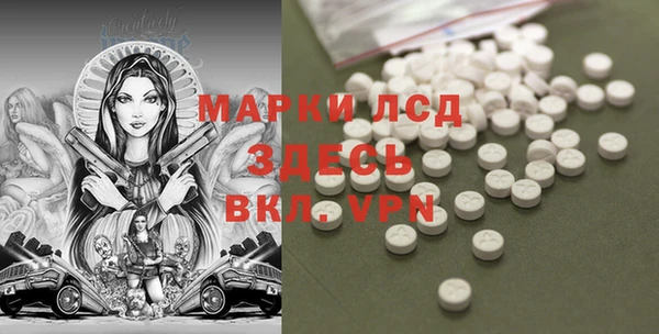 spice Алзамай