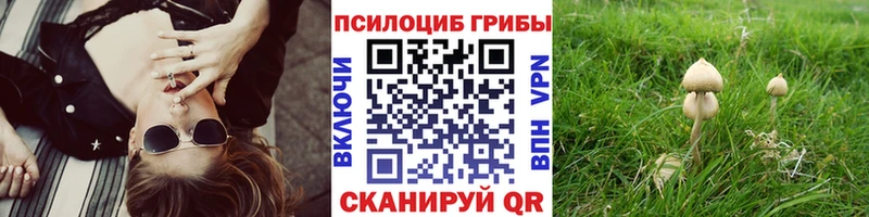 купить  сайты  Полярный  Галлюциногенные грибы Psilocybine cubensis 